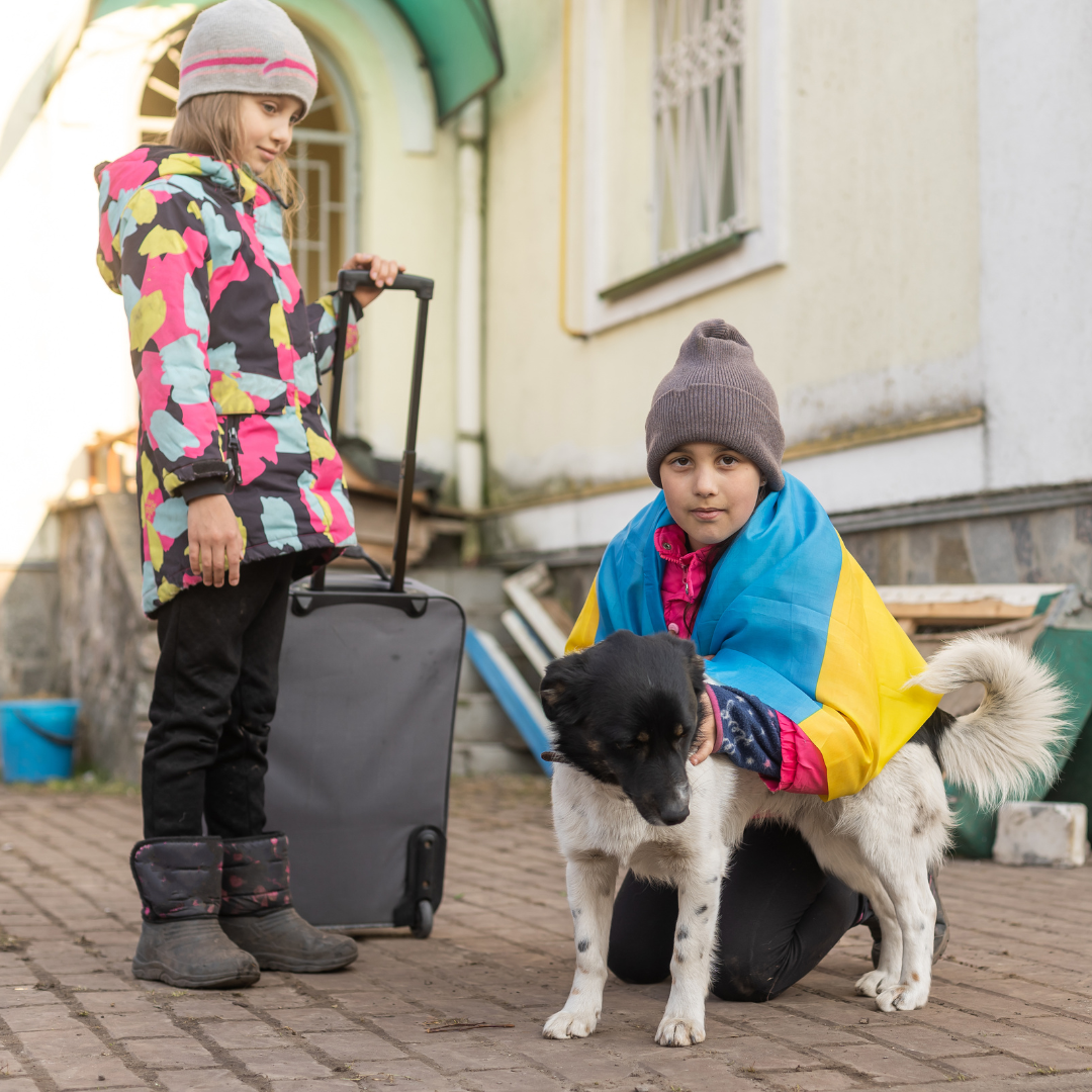 zwierzęta i dzieci z Ukrainy