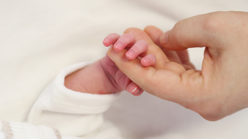 mother and child's hands on a white background