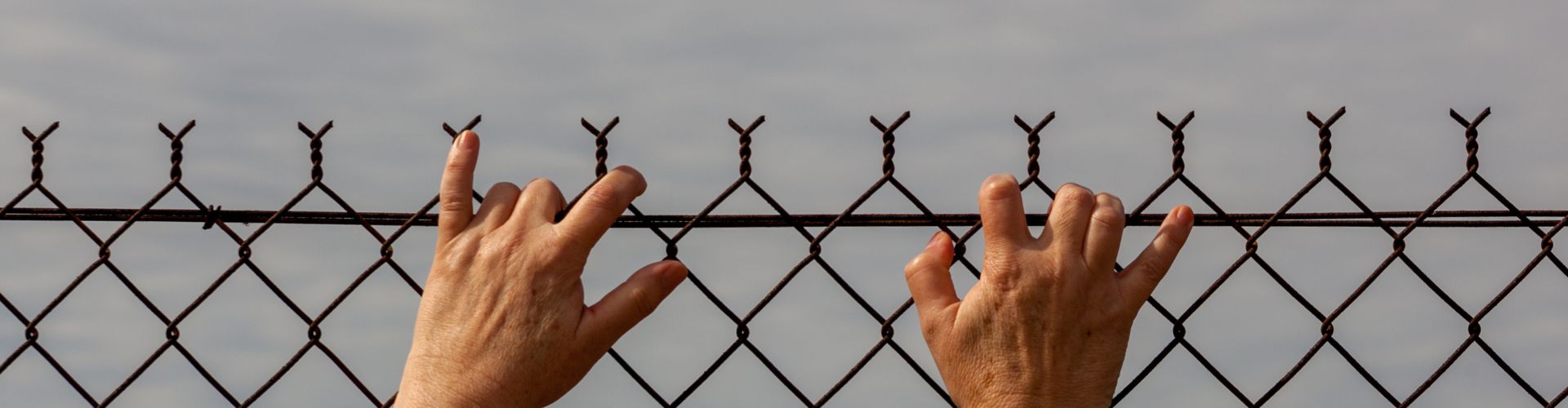 oświadczenie strategia migracyjna
